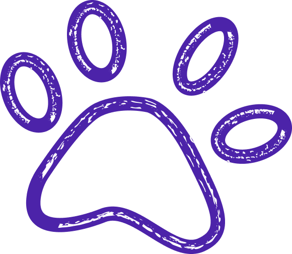 What Distinguishes Generative Ai From Other Types Of Ai